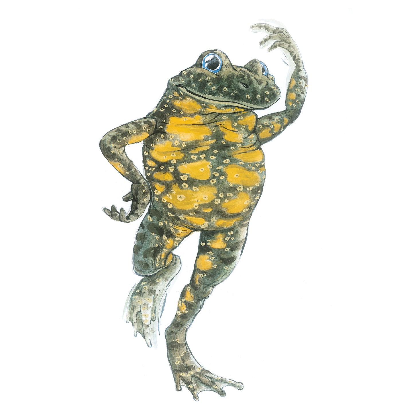 Frø