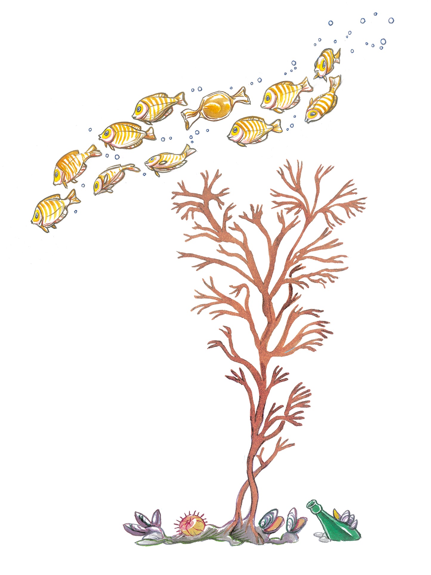 Karamel fisk